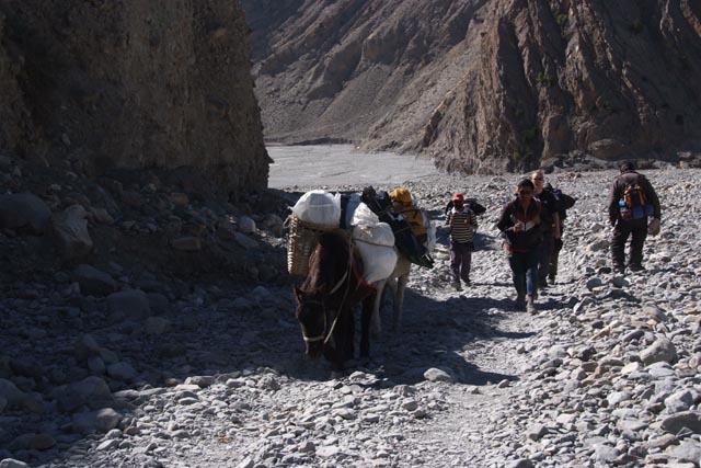 カリガンダキ川原を行く馬（horses go along Kali Gandaki）