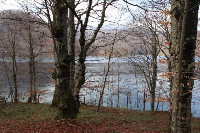 プリトヴィツェ湖群国立公園での眺め