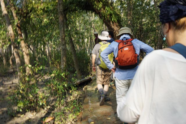 シュンドルボン（The Sundarbans）のマングローブウオーク