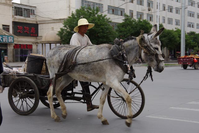 張掖のロバ車（a donkey carriage at Zhangye）