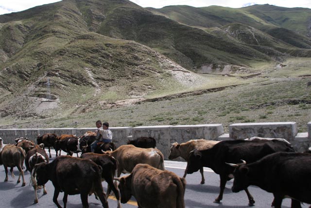 チベットの中尼公路（Friendly way：3,900m）