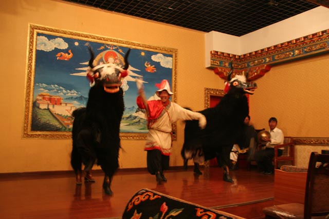 ラサのヤクの舞（Yak dance at Lhasa）