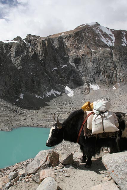 チベット／ドルマラの湖（Tibet／a lake at Drolma La）