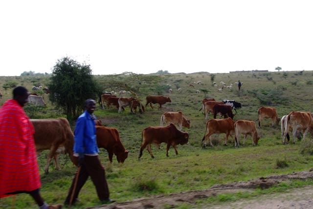 ケニアのマナンガ（Mananga, Kenya）