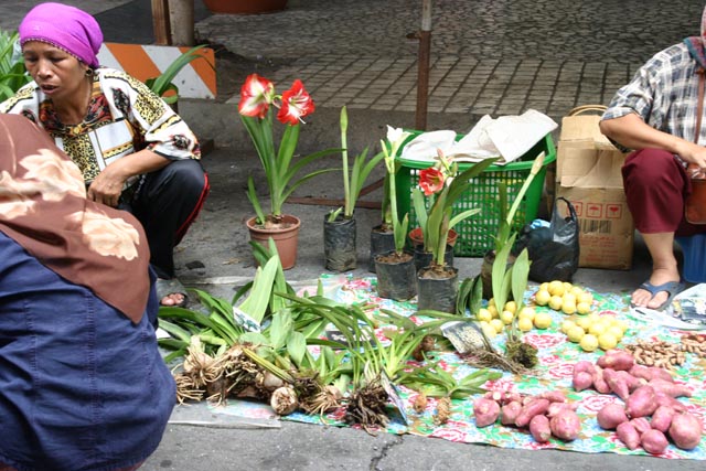 コタキナバルの市場