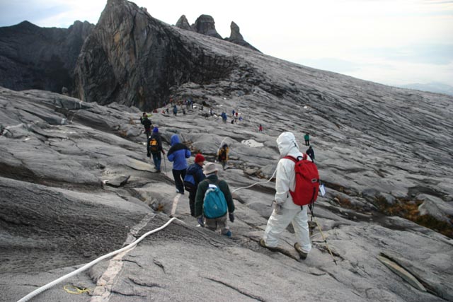 キナバル山2005の写真