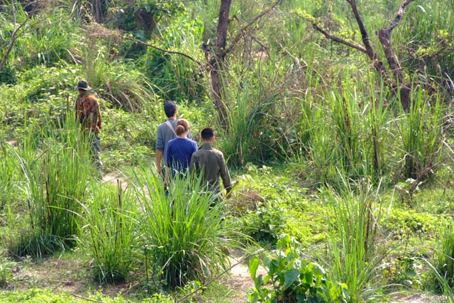 チトワンのジャングル歩きの写真