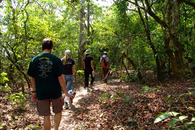 チトワンのジャングル歩きの写真