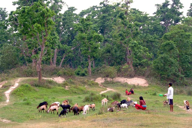 チトワン（Chitwan）
