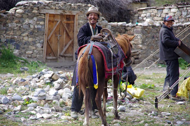 ドータラップの馬（horse at Dho Tarap）