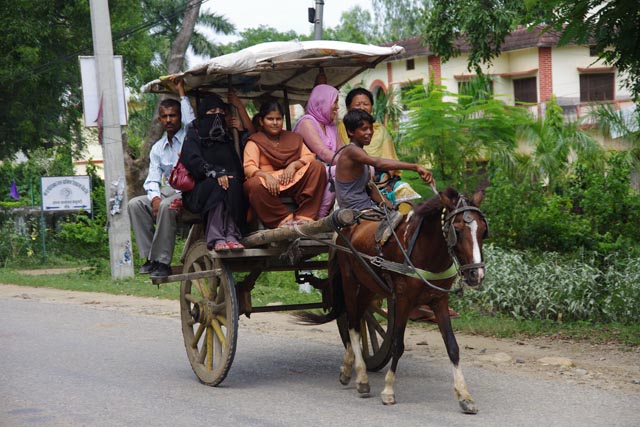 ネパールガンジのロバ車（donkey carriages at Nepalganj）
