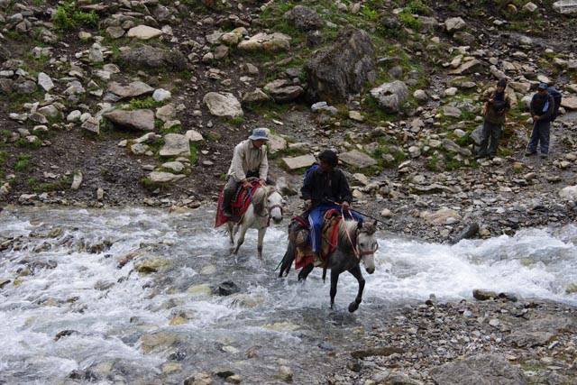 チューラ川を渡る馬（crossing horses at Chhura Khola）