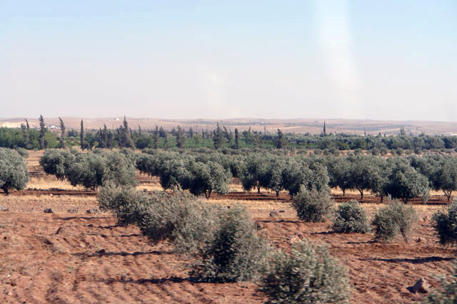 シリア側ヨルダン国境への街道からの眺め