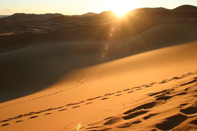 モロッコ／メルズーカ大砂丘（Merzouga）