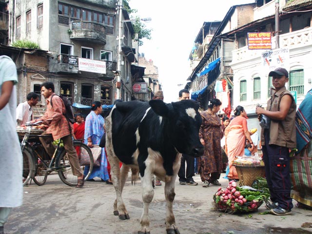 カトマンドゥのアサントーレ（Asan Tole in Kathmandu）