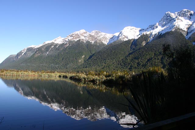 ニュージーランド／ミラー湖（New Zealand／Lake Mirror）
