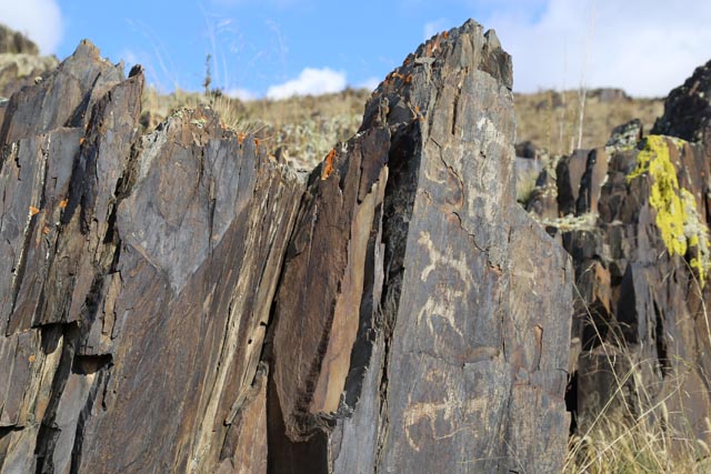 ドラルト岩刻画関係の写真