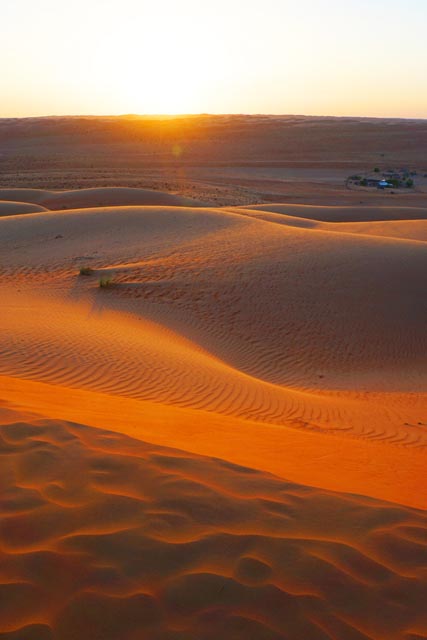 ワヒバ砂漠（Wahiba Sands）