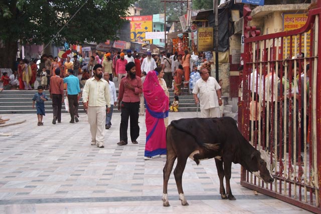 ガンガーを望む聖地リシケシ（Rishikesh）のプジャの行われる河畔の広場