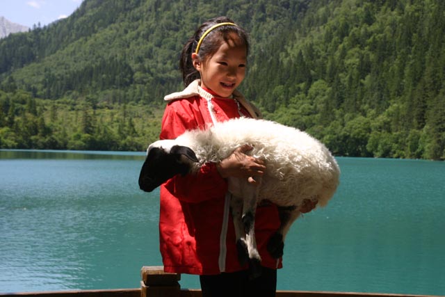 九寨溝で子羊を抱く子（a girl holding a lamb at Panda Lake, Jiuzhaigou）