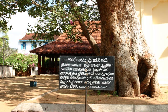 ヌラダプラのスリマハ菩提寺（Sri Maha bodhiya in Anuradhapura）