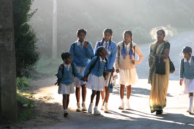 ヌワラエリアの学童たち（schoolgirls in Nuwara Eliya）