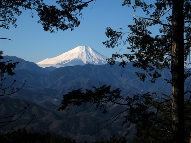 高尾山2012の写真