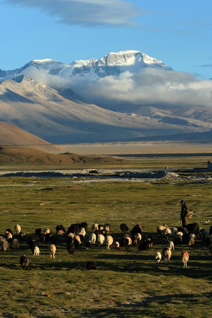 ティンリー（チベット）から眺めたチョオユー（Cho Oyu：8,201m）