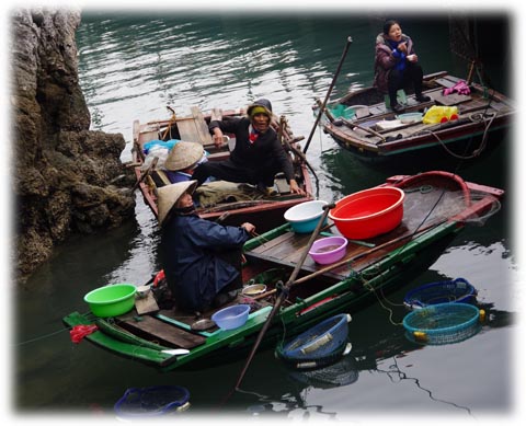 ベトナムハロン湾で捕れたての魚を商う人たち