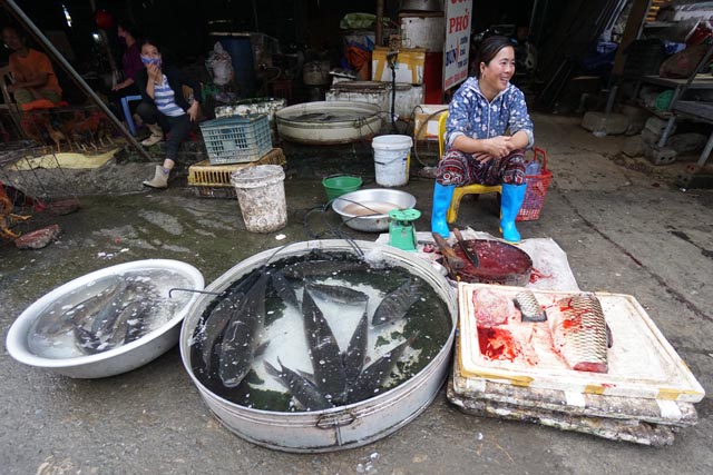 ライチョウ市場（ベトナム北辺）の魚屋さん