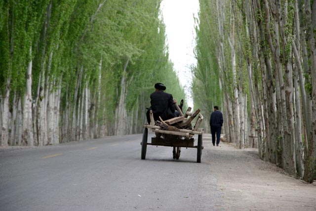 新疆ウイグルの旅2005の写真
