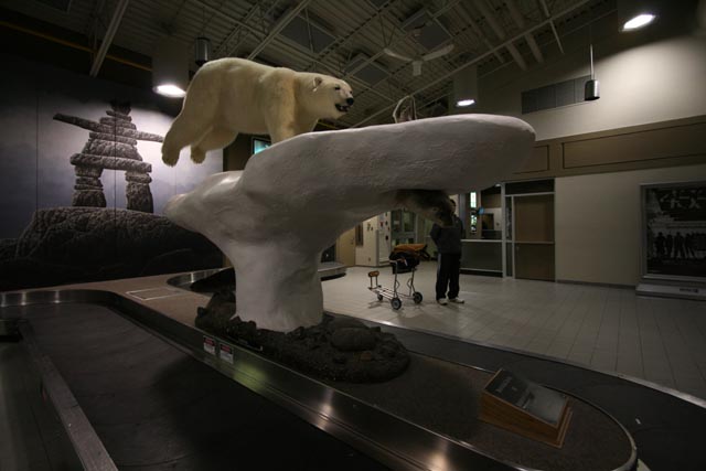 大きな剥製白熊とイヌクシュク
