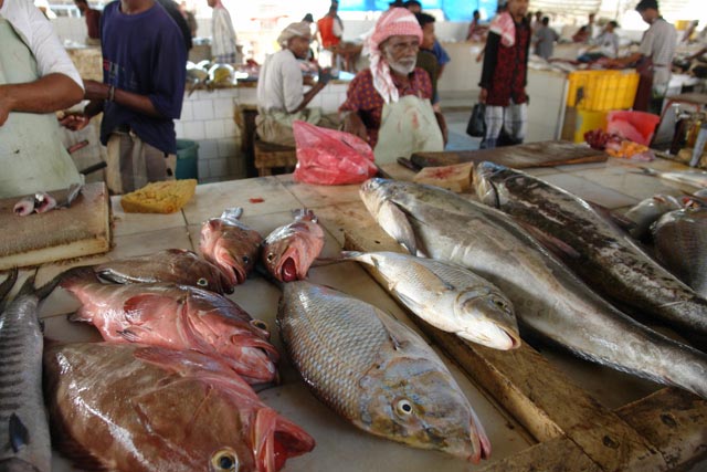ムッカラ魚と野菜市場